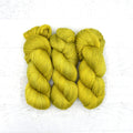 Googley Bear - Squish Silk Lace